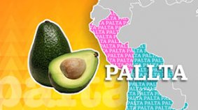 Palta