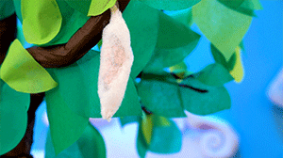 ¿Cómo hacen las orugas para transformarse en mariposas?