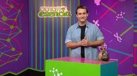 Descubriendo nuestro pasado