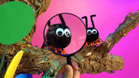 Bichos