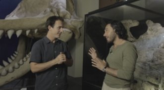 ¿Qué vino primero, el huevo o la gallina?