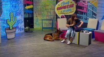 Mi perro mi mejor amigo