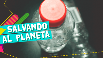 Reciclando con los chicos: las botellas de plástico