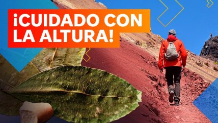 Consejos necesarios para sobrevivir al temido soroche en tu próximo viaje