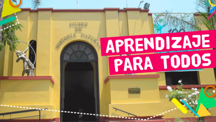6 cosas que aprendimos en el Museo de Historia Natural