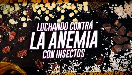 Demolitor: La barra proteica hecha de insectos