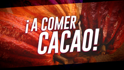 6 razones para consumir cacao peruano