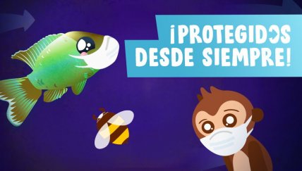 Estos animales practicaban la distancia social antes que tú