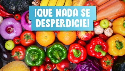 Reciclaje culinario: ¿cómo podemos aprovechar al máximo  nuestros alimentos?
