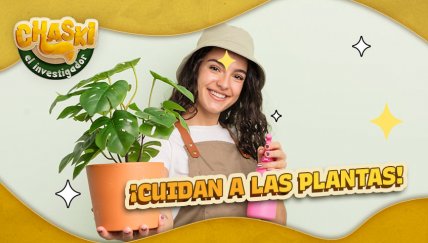 Los jardineros son los guardianes de la belleza de la ciudad