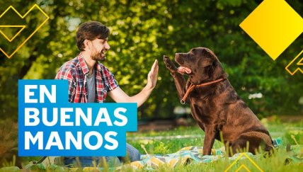 Esta plataforma te contacta con el candidato ideal  para cuidar a tu mascota