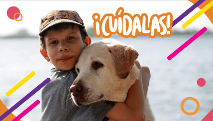 Mascotas en la casa: ¿Cómo enseñarle a los chicos a ser responsables?