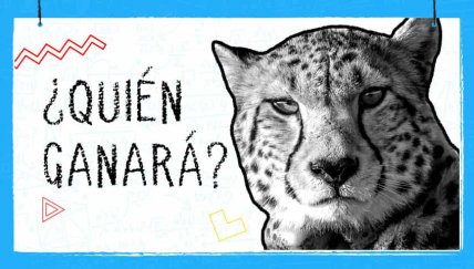 Mundo Matemático: La relación entre la velocidad y aceleración