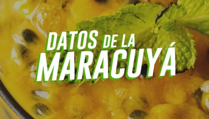 7 Datos mágicos de la maracuyá