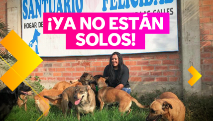 La estudiante de veterinaria que le devuelve la felicidad a los animales abandonados