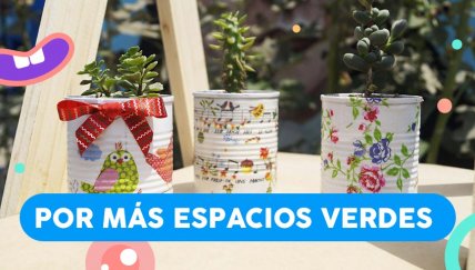 Manitos Verdes que siembran vida y sonrisas