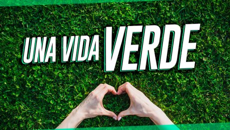 Cómo llevar una vida más sostenible (y feliz) este 2019