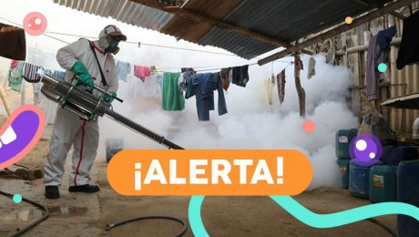 ¡A cuidarse del dengue!