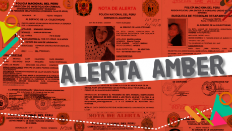 Encontrando el camino a casa