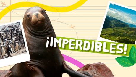 Cinco áreas protegidas para visitar con los chicos este 2018