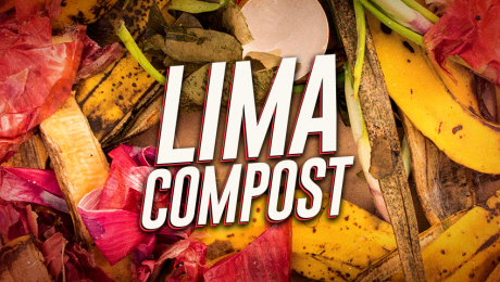 Compostaje: Transformando residuos orgánicos en vida