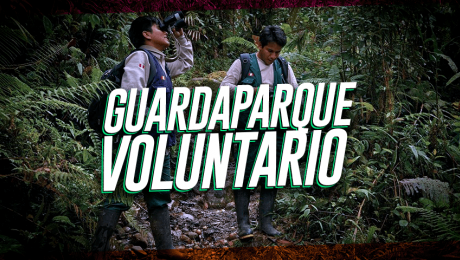 ¿Sabes en qué consiste el trabajo de un guardaparque? Ahora también puedes aprender haciéndolo