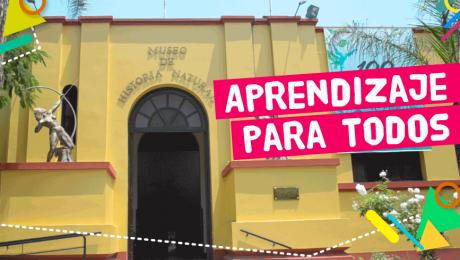 6 cosas que aprendimos en el Museo de Historia Natural