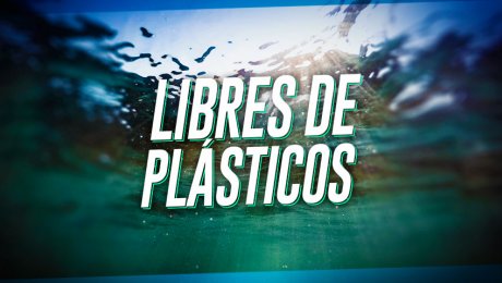 Conoce el proyecto peruano que eliminará el microplástico de los océanos