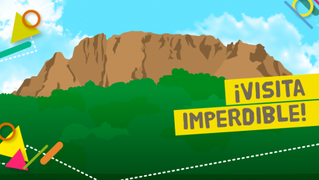 ¡El Bosque de Pómac está de fiesta!