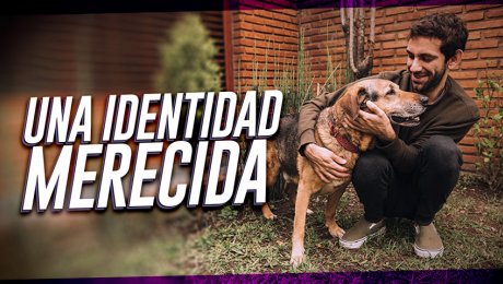 Mascotas con identidad: Conoce al RENIAN