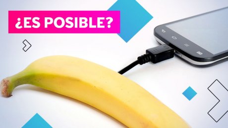 Verdad o mito: ¿Una fruta puede cargar el celular?