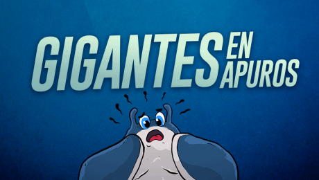 Gigantes en apuros: la conservación de las mantarrayas del Perú