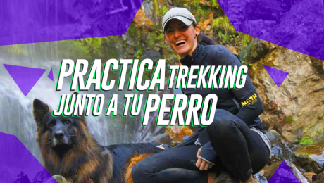Recorre estos sitios turísticos junto a tu perro