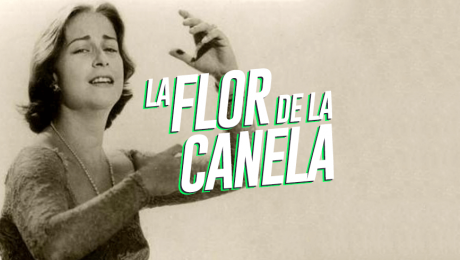 7 datos que debes conocer sobre La flor de la canela