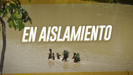 Descubre más de los pueblos en aislamiento y en contacto inicial de la Amazonía peruana