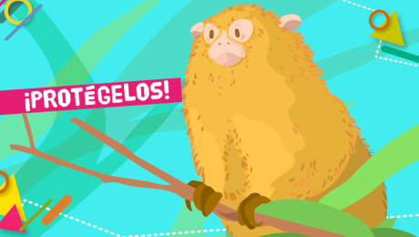 Los animales silvestres no son mascotas