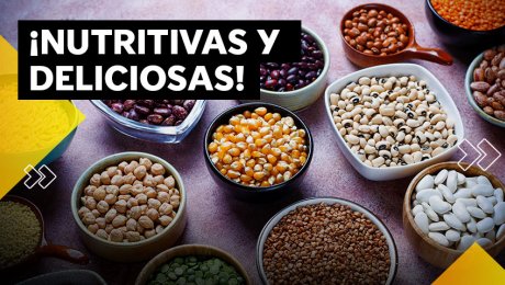 ¡Deliciosas y nutritivas legumbres! 