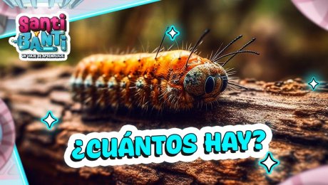 ¿Hay más animales vertebrados o invertebrados en el mundo?  