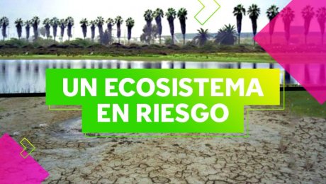 Los humedales de Quilcay, el pulmón de Lurín en peligro de desaparecer 