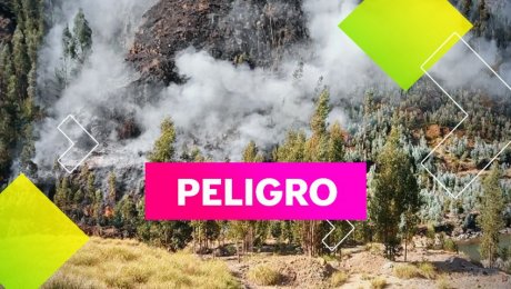 Incendios forestales: amenaza constante de nuestros ecosistemas