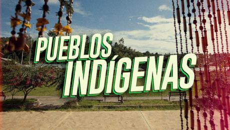 ¿Cuánto sabes de nuestros pueblos indígenas u originarios? Descúbrelo con este test