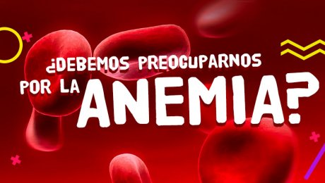 La anemia, el enemigo de nuestra sangre