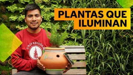 Hernán Asto, el joven ingeniero que logró generar energía eléctrica con plantas