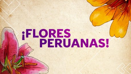 Estas son las flores más bonitas de todo el Perú
