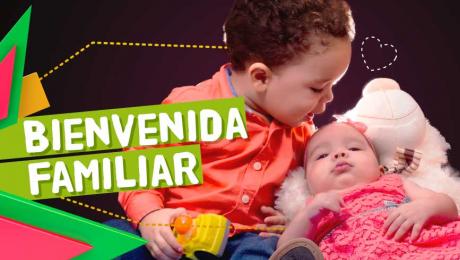 ¿Cómo hablar sobre la llegada de un nuevo bebé a la casa?