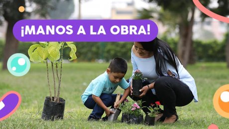 Estos son los vegetales que puedes sembrar con tus hijos en casa