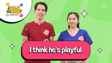 ¡Diviértete aprendiendo a hablar de mascotas en inglés!