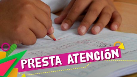 ¿Qué hacer si los chicos sacan una mala libreta de notas?