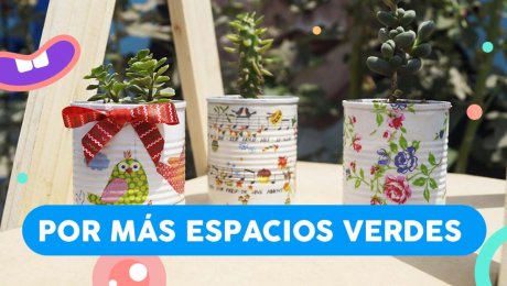 Manitos Verdes que siembran vida y sonrisas
