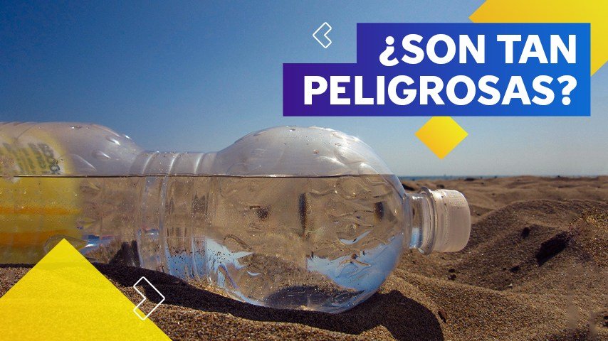 Las botellas de plástico: no tan buenas con el planeta y tu salud 